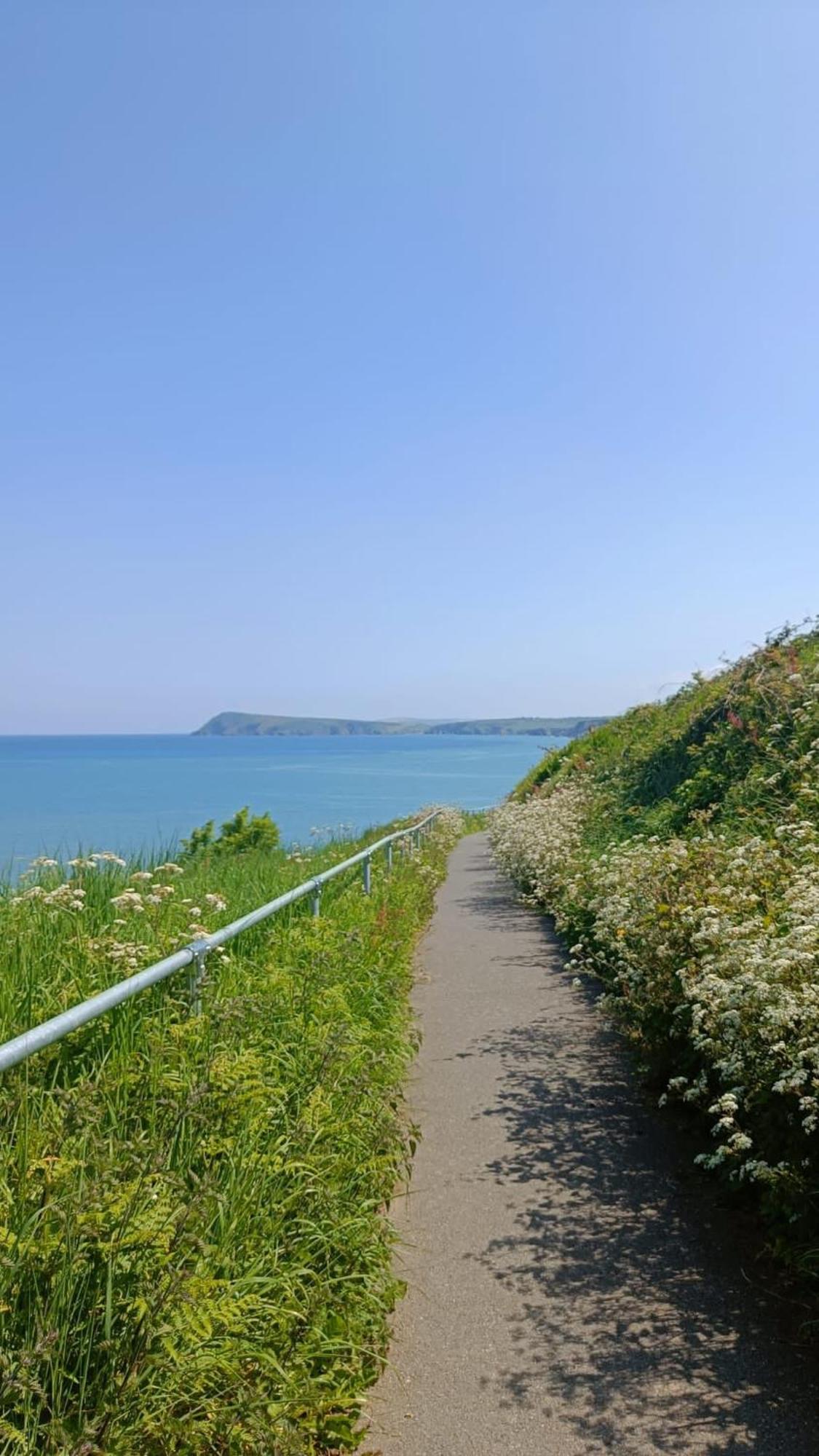 Rose And Crown Hotel & Hope And Anchor Bar Goodwick 外观 照片