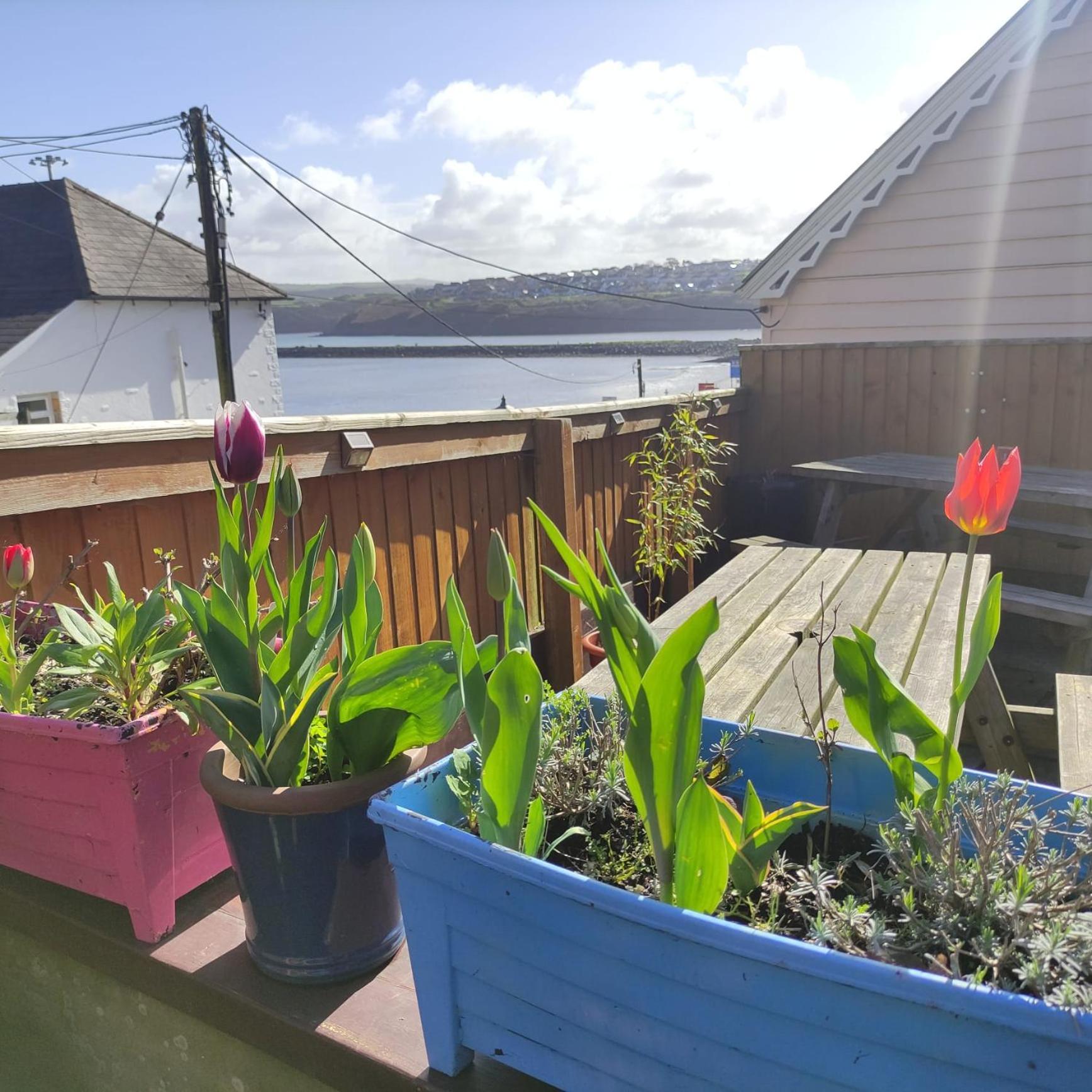 Rose And Crown Hotel & Hope And Anchor Bar Goodwick 外观 照片