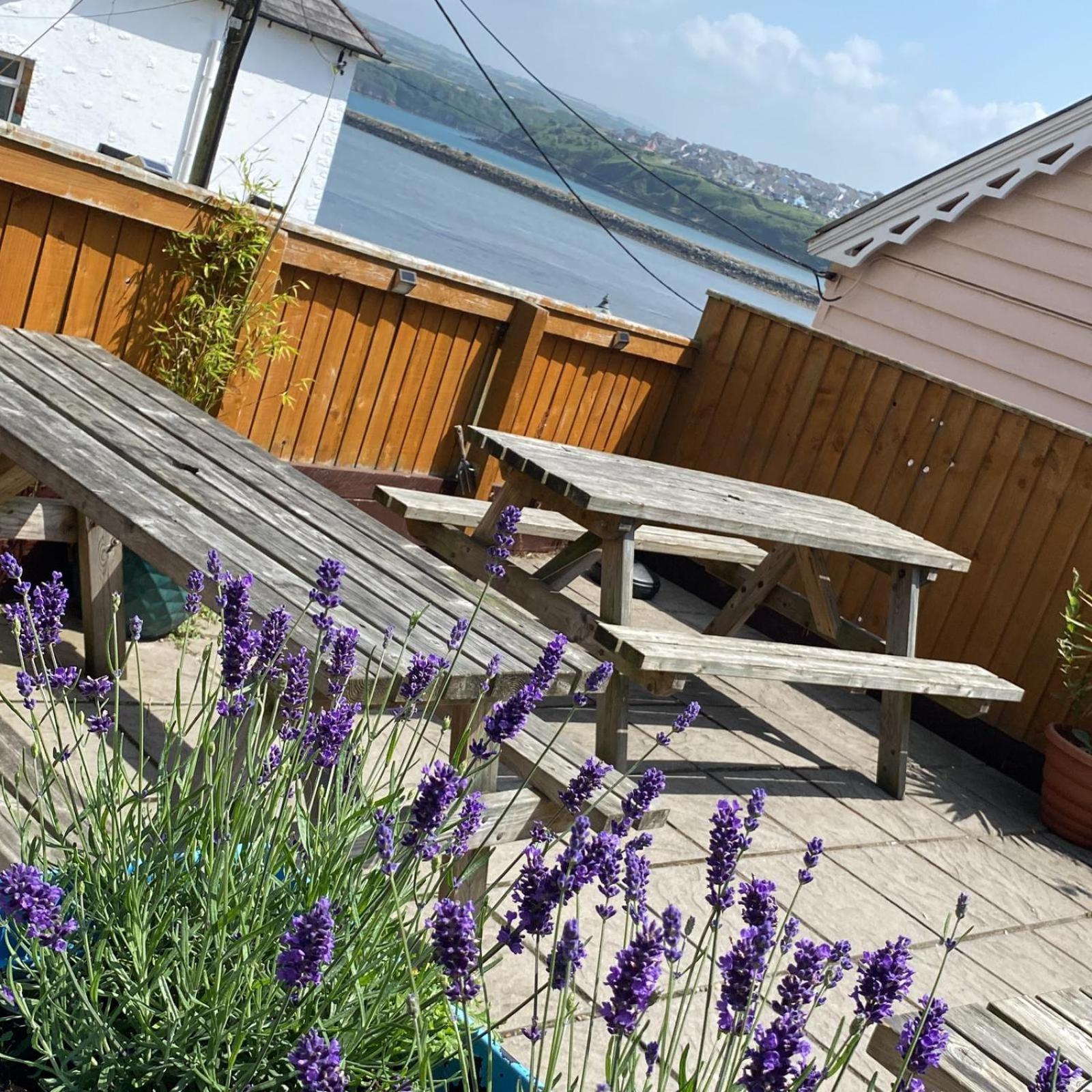 Rose And Crown Hotel & Hope And Anchor Bar Goodwick 外观 照片